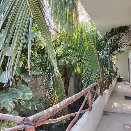 Casa Lupita