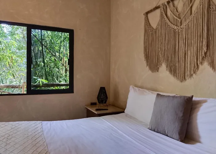 Casa Lupita 4*